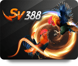 Những sai lầm thường gặp khi tham gia sòng bạc online